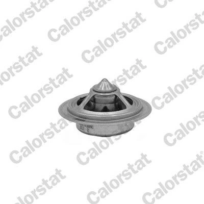 Imagem de CALORSTAT by Vernet WF0126 Flange