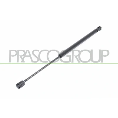 Imagem de PRASCO FD0069055 Amortecedor da mala 310 448 de ambos os lados FORD: KA Hatchback