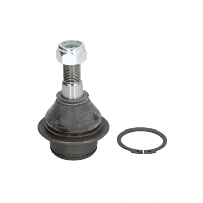 Imagem de MOOG FD BJ 0814 Rótula de suspensão ambos os lados, em baixo, Eixo dianteiro 21,4 44,5 77 FORD: Transit Connect Mk1 Van