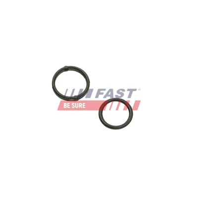 Imagem de FAST FT38520 Tubo de óleo, compressor Entrada