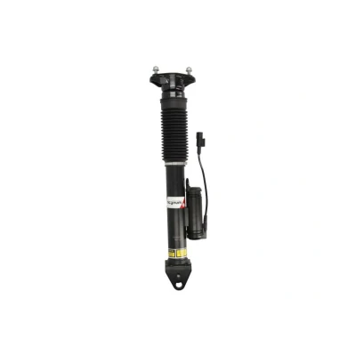 Imagem de Magnum Technology APM006MT Amortecedor Eixo traseiro Pressão do gás com assento de mola cavilha em cima, forquilha baixo
