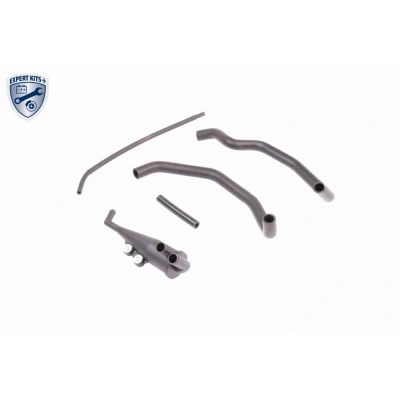 Imagem de VAICO V24 1532 Suporte, motor traseira, Barra de torção no suporte Rolamento borracha e metal FIAT: Panda III Hatchback