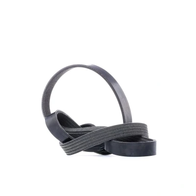 Imagem de DAYCO 5PK1095S Correia trapezoidal estriada 1095,0 5 VOLVO: V60 I, XC60 S80 II, FORD: S Max Mk1, MONDEO 4 Turnier,
