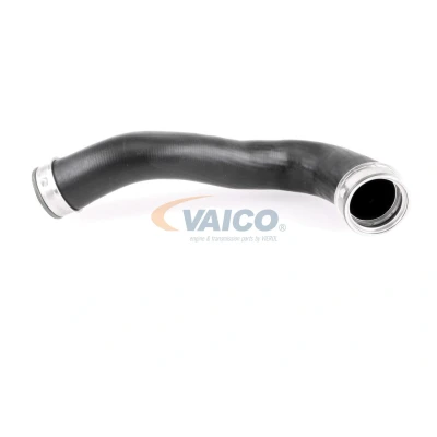 Imagem de VAICO V10 3818 Mangueira Para o Turbocompressor Borracha com entretela Q+, original equipment manufacturer quality
