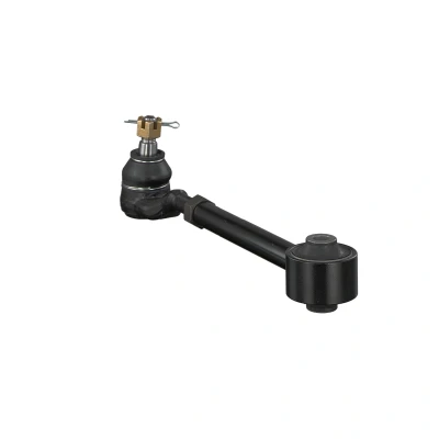 Imagem de FEBI BILSTEIN 42172 Braço de suspensão com porca castelo Eixo traseiro esquerdo, em cima, direito transversal Chapa aço