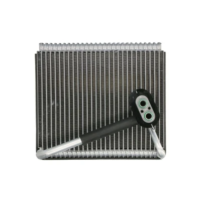 Imagem de NRF 36179 Evaporador com válvula de expansão