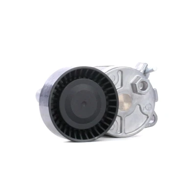 Imagem de SKF VKM 38202 Polia Tensora BMW: 5 Sedan, 3 Touring