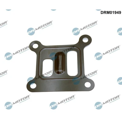 Imagem de DR.MOTOR AUTOMOTIVE DRM01949 Juntas do lado motor