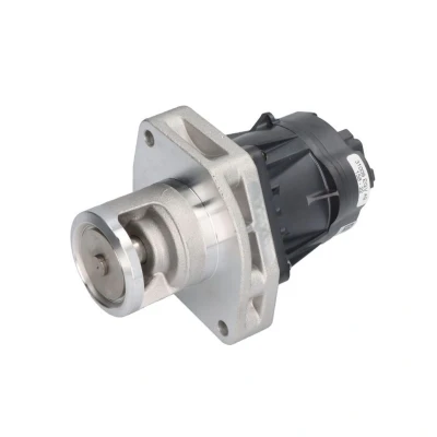 Imagem de PIERBURG 7.24809.80.0 Válvula EGR elétrico de controlo sem junta