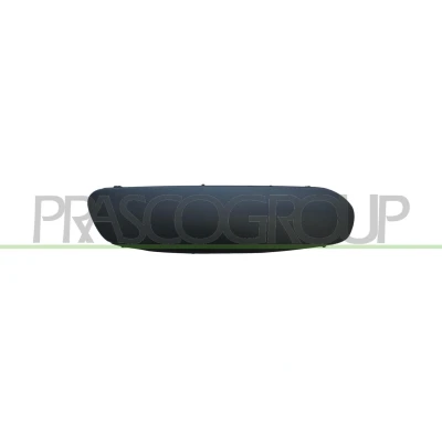 Imagem de PRASCO Premium CI3221243 Friso, pára choques à frente, lado direito CITROËN: C3 I Hatchback