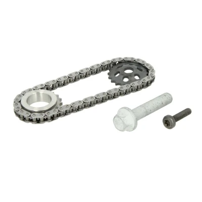 Imagem de SWAG 11 94 8384 Kit de corrente, accionamento da bomba óleo