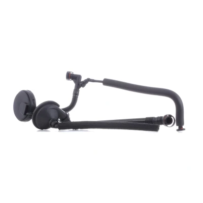 Imagem de MAXGEAR 28 0252SET Kit de reparação, respiro do cárter da cambota BMW: 3 Coupe, 5 Sedan