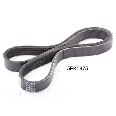 Imagem de Correia trapezoidal estriada ASHIKA 112 5PK875