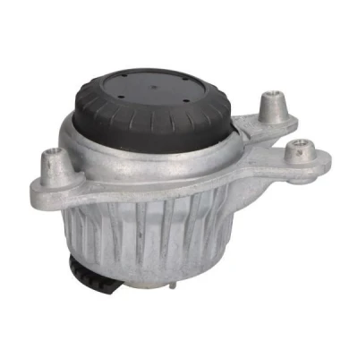 Imagem de REINHOCH RH11 3123 Suporte, motor à frente, lado esquerdo Apoio hidráulico