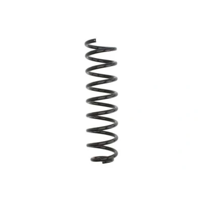 Imagem de Magnum Technology SR145 Mola de suspensão Eixo traseiro helicoidal