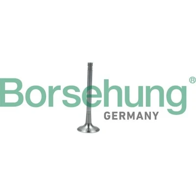 Imagem de Borsehung B19011 Válvula de Escape SEAT: Leon II Hatchback, VOLKSWAGEN: Golf 5