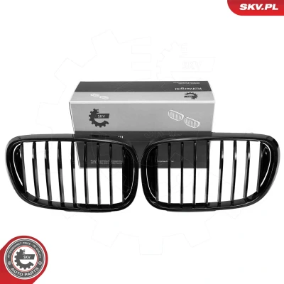 Imagem de ESEN SKV 66SKV222 Grelha de Radiador preto, brilhante BMW: 3 Sedan, Touring, Compact