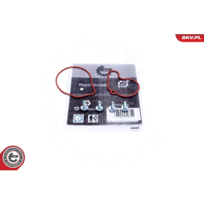 Imagem de ESEN SKV 18SKV807 Kit de reparação para bomba vácuo VOLKSWAGEN: Golf 4, Polo IV Hatchback, Bora Sedan, SEAT: Ibiza 3, Leon I Hatchback