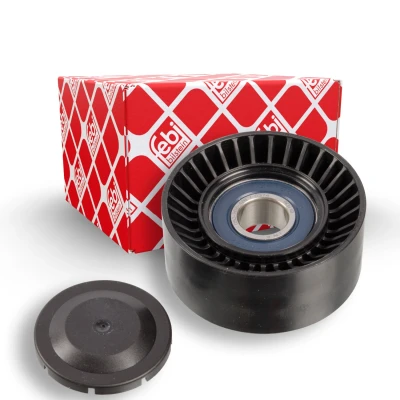 Imagem de FEBI BILSTEIN 106881 Polia de Desvio com capa