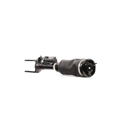 Imagem de BILSTEIN B4 OE Replacement (Air) 44 121167 Elemento de suspensão pneumática Eixo dianteiro MERCEDES BENZ: Classe R