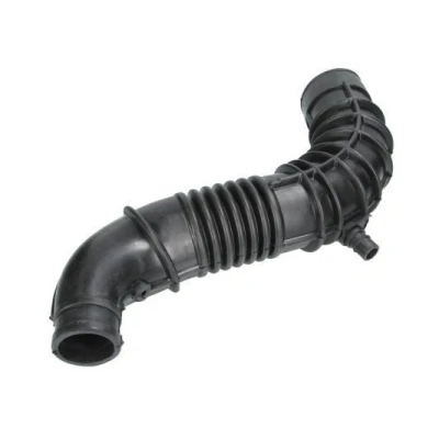 Imagem de THERMOTEC DCR069TT Tubo flexível de admissão, filtro ar Entrada, Eixo dianteiro RENAULT: Kangoo II Express, MEGANE 2 Kombi,
