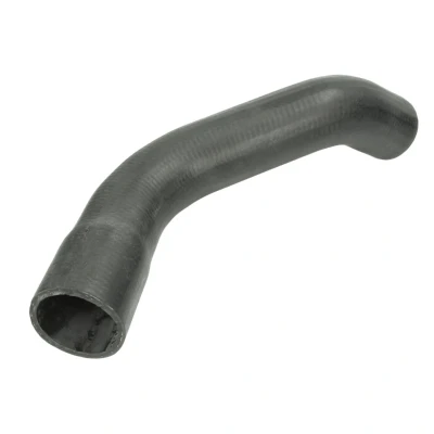 Imagem de THERMOTEC DCC005TT Tubo flexível de admissão, filtro ar à direita