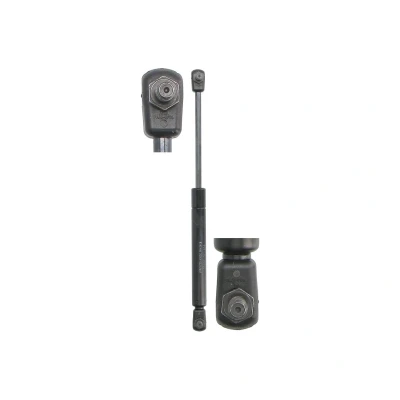 Imagem de Mola a gás STABILUS 8042NM