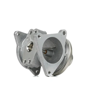 Imagem de WAHLER 7496D/1 Válvula EGR pneumático com juntas VOLKSWAGEN: Golf 4, 5, Polo IV Hatchback, SEAT: Ibiza 3, Altea XL, Leon II Hatchback