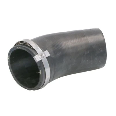 Imagem de THERMOTEC DCW313TT Mangueira Para o Turbocompressor
