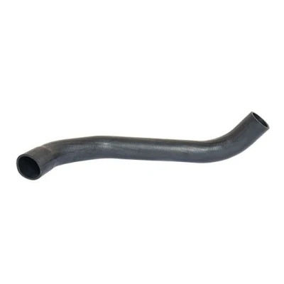 Imagem de BUGIAD 88695 Mangueira Para o Turbocompressor FORD: Transit Mk5 Van, Minibus