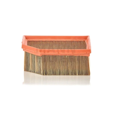 Imagem de MANN FILTER C 1995 Filtro de ar 70 171 189, 139 Cartucho filtrante CITROËN: Berlingo / First I Van,