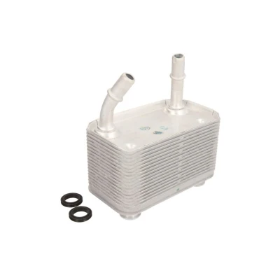Imagem de THERMOTEC D4B005TT Radiador de Óleo com retentor BMW: X5