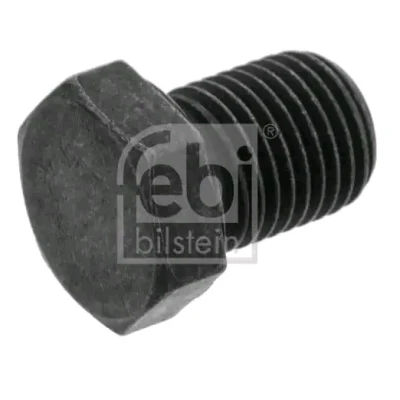 Imagem de FEBI BILSTEIN 48872 Bujão do Carter 19 sem retentor AUDI: A4 B5 Sedan, B6 Avant, B7 VOLKSWAGEN: Passat GP Variant, GOLF 3