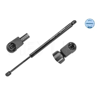 Imagem de MEYLE 740 910 0024 Amortecedor da mala 700 455 ORIGINAL Quality FORD: Focus Mk1 Hatchback