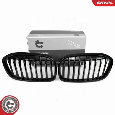 Imagem de ESEN SKV 66SKV041 Grelha de Radiador ambos os lados preto, brilhante