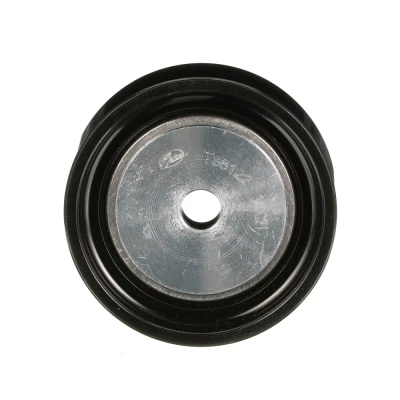 Imagem de GATES FleetRunner Micro V Kit T36122 Polia de Desvio RENAULT: CLIO 2 Kasten,