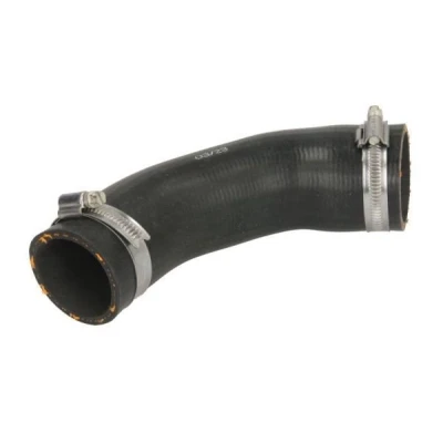 Imagem de Mangueira de ar reforço THERMOTEC DCM111TT