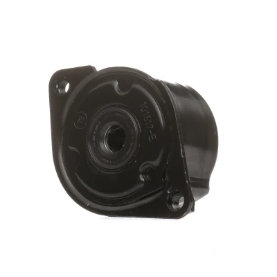 Imagem de SKF VKM 38304 Polia Tensora BMW: 3 Sedan, Touring, 5 Touring