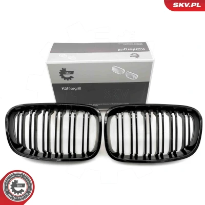 Imagem de ESEN SKV 66SKV016 Grelha de Radiador brilhante, preto BMW: 1 Hatchback