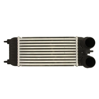 Imagem de Arrefecedor de ar admissão THERMOTEC DAC023TT