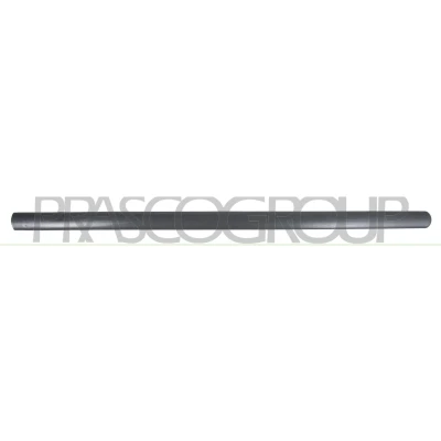 Imagem de Friso, porta PRASCO VG9041404