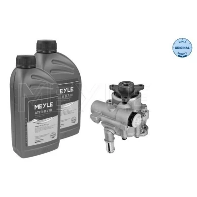 Imagem de MEYLE 16 14 631 0001/S Bomba de Direção hidráulico com óleo para lavagem RENAULT: MASTER 2 Kasten, LAGUNA 2, TRAFIC Kasten