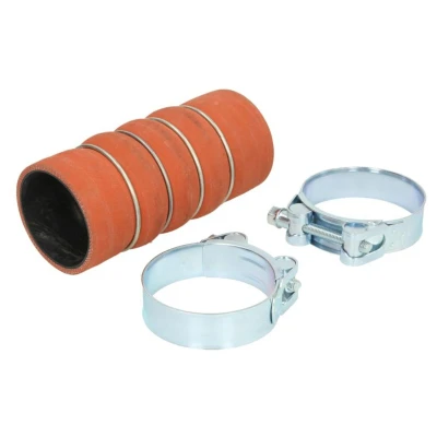 Imagem de GATES 09 1050 Mangueira Para o Turbocompressor Silicone