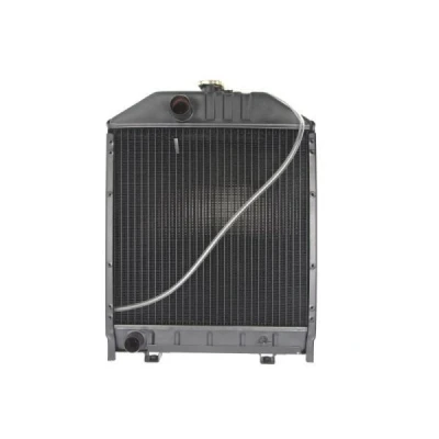 Imagem de THERMOTEC D7AG123TT Radiador, arrefecimento do motor