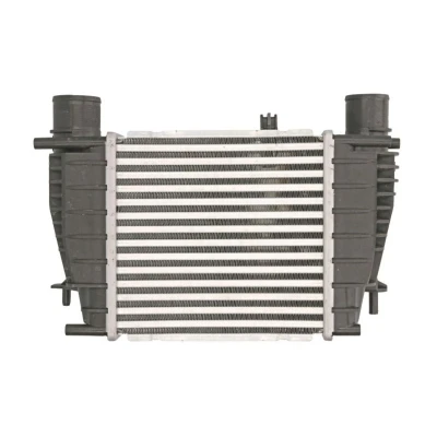 Imagem de THERMOTEC DA1003TT Intercooler 210 x 205 64 mm NISSAN: Juke, RENAULT: CLIO III Grandtour, 3