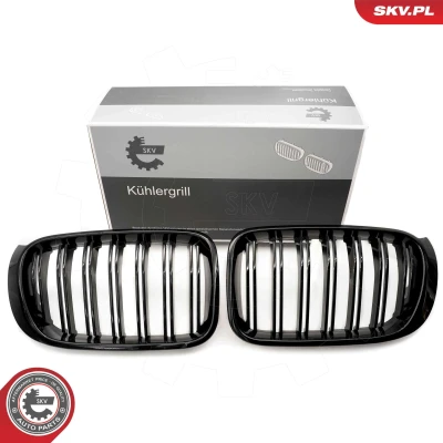 Imagem de ESEN SKV 66SKV255 Grelha de Radiador preto, brilhante