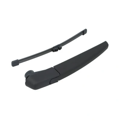 Imagem de Escova do limpa vidros Magneti Marelli 000723180136 250mm sem adaptador específico veículo CITROËN: C5 3
