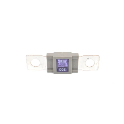 Imagem de BOSCH 1 987 531 007 Fusível 300A 32V