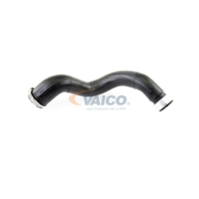 Imagem de VAICO V10 2879 Mangueira Para o Turbocompressor Borracha com entretela Q+, original equipment manufacturer quality