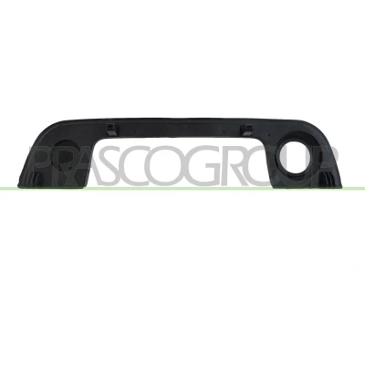 Imagem de PRASCO BM0148701 Estrutura da pega porta exterior, à frente, lado direito BMW: 3 Sedan, Touring, Compact